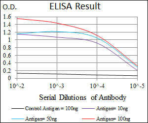 PAX5 Antibody - Black: Control Antigen (100ng); Purple: Antigen (10ng); Blue: Antigen (50ng); Red: Antigen (100ng);