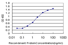 PLEKHG5 Antibody - Detection limit for recombinant GST tagged PLEKHG5 is approximately 0.3 ng/ml as a capture antibody.