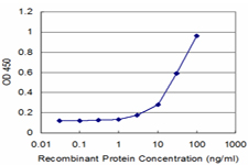 RET Antibody - Detection limit for recombinant GST tagged RET is approximately 3 ng/ml as a capture antibody.