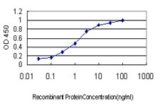 S100A6 / Calcyclin Antibody - Detection limit for recombinant GST tagged S100A6 is approximately 0.03 ng/ml as a capture antibody.