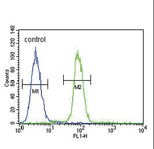 S100B / S100 Beta Antibody - S100B Antibody flow cytometry of A375 cells (right histogram) compared to a negative control cell (left histogram). FITC-conjugated goat-anti-rabbit secondary antibodies were used for the analysis.