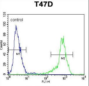 SIAH2 Antibody - SIAH2 Antibody flow cytometry of T47D cells (right histogram) compared to a negative control cell (left histogram). FITC-conjugated goat-anti-rabbit secondary antibodies were used for the analysis.
