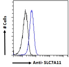 SLC7A11 / XCT Antibody - Goat Anti-SLC7A11 Antibody Flow cytometric analysis of paraformaldehyde fixed A549 cells (blue line), permeabilized with 0.5% Triton. Primary incubation 1hr (10ug/ml) followed by Alexa Fluor 488 secondary antibody (1ug/ml). IgG control: Unimmunized goat IgG (black line) followed by Alexa Fluor 488 secondary antibody.
