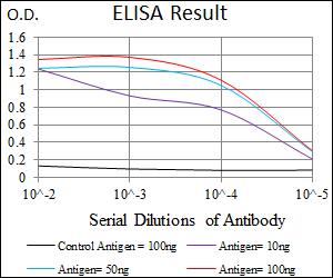PAX3 Antibody - Red: Control Antigen (100ng); Purple: Antigen (10ng); Green: Antigen (50ng); Blue: Antigen (100ng);