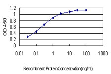 PBX3 Antibody - Detection limit for recombinant GST tagged PBX3 is approximately 0.03 ng/ml as a capture antibody.