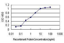 PCDH1 / PCD1 Antibody - Detection limit for recombinant GST tagged PCDH1 is approximately 0.03 ng/ml as a capture antibody.