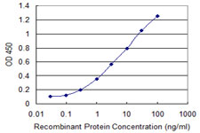 PCDH10 Antibody - Detection limit for recombinant GST tagged PCDH10 is 0.1 ng/ml as a capture antibody.