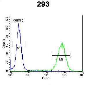 PCDH17 Antibody - PCDH17 Antibody flow cytometry of 293 cells (right histogram) compared to a negative control cell (left histogram). FITC-conjugated goat-anti-rabbit secondary antibodies were used for the analysis.