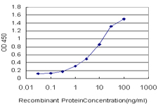 PCDH7 Antibody - Detection limit for recombinant GST tagged PCDH7 is approximately 0.3 ng/ml as a capture antibody.