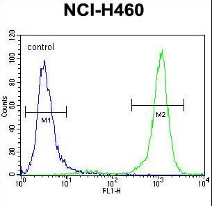 PCDHA9 Antibody - PCDHA9 Antibody flow cytometry of NCI-H460 cells (right histogram) compared to a negative control cell (left histogram). FITC-conjugated goat-anti-rabbit secondary antibodies were used for the analysis.