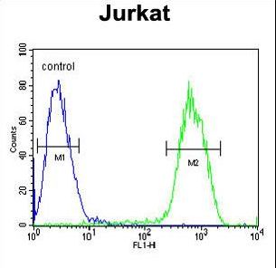 PCDHGC3 / PCDH2 Antibody - PCDHGC3 Antibody flow cytometry of Jurkat cells (right histogram) compared to a negative control cell (left histogram). FITC-conjugated goat-anti-rabbit secondary antibodies were used for the analysis.