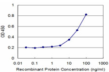 PCGF2 / MEL-18 Antibody - Detection limit for recombinant GST tagged PCGF2 is approximately 3 ng/ml as a capture antibody.