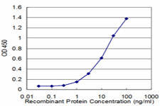 PCK1 Antibody - Detection limit for recombinant GST tagged PCK1 is approximately 0.3 ng/ml as a capture antibody.