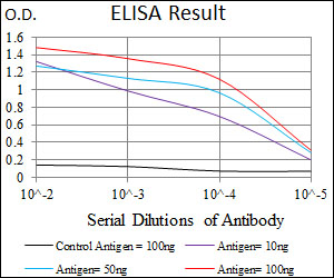 PCNA Antibody - Red: Control Antigen (100ng); Purple: Antigen (10ng); Green: Antigen (50ng); Blue: Antigen (100ng);