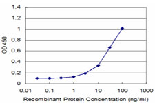 PCP4 / PEP19 Antibody - Detection limit for recombinant GST tagged PCP4 is approximately 1 ng/ml as a capture antibody.