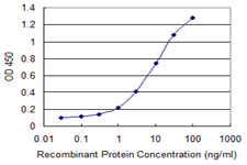 PCSK1N / PROSAAS Antibody - Detection limit for recombinant GST tagged PCSK1N is 0.1 ng/ml as a capture antibody.