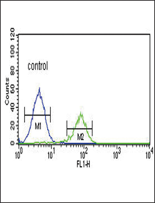 PCSK2 Antibody - PCSK2 Antibody flow cytometry of K562 cells (right histogram) compared to a negative control cell (left histogram). FITC-conjugated goat-anti-rabbit secondary antibodies were used for the analysis.
