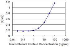 PCSK2 Antibody - Detection limit for recombinant GST tagged PCSK2 is 0.3 ng/ml as a capture antibody.