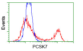 PCSK7 / PC7 Antibody - HEK293T cells transfected with either pCMV6-ENTRY PCSK7 (Red) or empty vector control plasmid (Blue) were immunostained with anti-PCSK7 mouse monoclonal(Dilution 1:1,000), and then analyzed by flow cytometry.