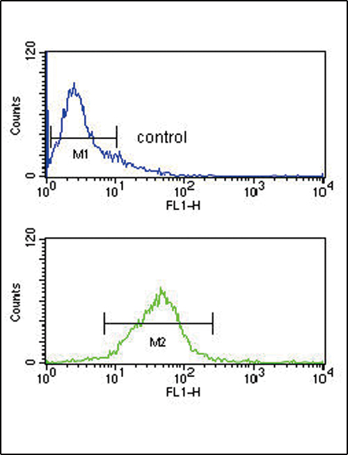 PCSK9 Antibody - PCSK9 Antibody flow cytometry of Jurkat cells (bottom histogram) compared to a negative control cell (top histogram). FITC-conjugated goat-anti-rabbit secondary antibodies were used for the analysis.