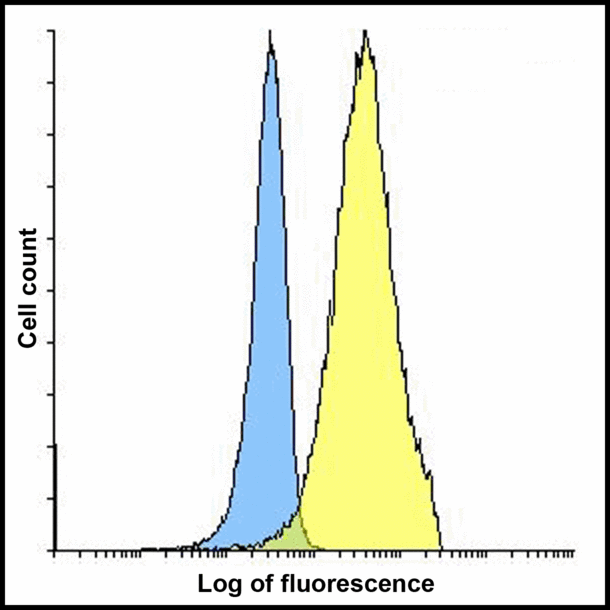 PD-L2 / PDCD1LG2 / CD273 Antibody - Flow cytometry analysis of PD-L2 overexpressing HEK293 cells using PD-L2 antibody and control mouse IgG antibody at 10 ug/ml. Blue: Untransfected HEK293 cells. Yellow: PD-L2 overexpressing HEK293 cells.