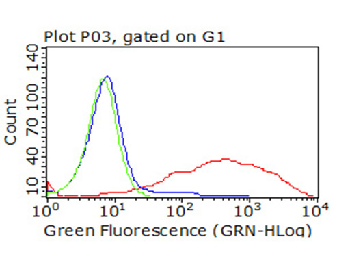 PD-L2 / PDCD1LG2 / CD273 Antibody - Flow cytometric analysis of living 293T cells transfected with PDL2 overexpression plasmid  Red)/empty vector  Blue) using anti-PDL2 antibody. Cells incubated with a non-specific antibody. (Green) were used as isotype control. (1:100)