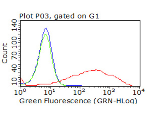 PD-L2 / PDCD1LG2 / CD273 Antibody - Flow cytometric analysis of living 293T cells transfected with PDL2 overexpression plasmid  Red)/empty vector  Blue) using anti-PDL2 antibody. Cells incubated with a non-specific antibody. (Green) were used as isotype control. (1:100)