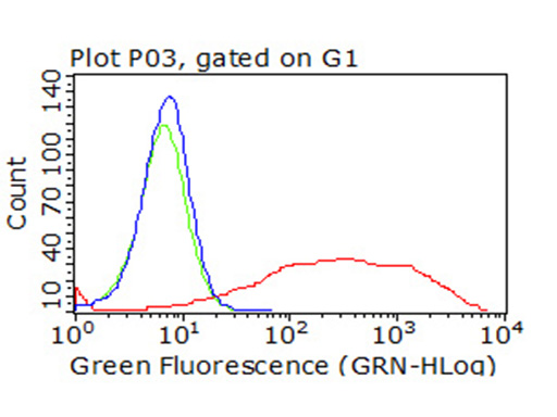 PD-L2 / PDCD1LG2 / CD273 Antibody - HEK293T cells transfected with eitheroverexpress plasmid(Red) or empty vector control plasmid(Blue) were immunostained by anti-PDCD1LG2 antibody, and then analyzed by flow cytometry. (1:100)