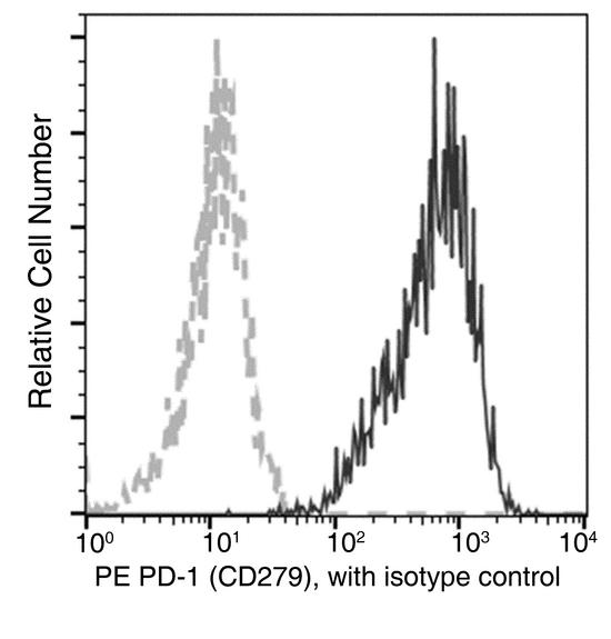 PDCD1 / CD279 / PD-1 Antibody - Flow cytometric analysis of Human PD-1 (CD279) expression on PHA-activated human whole blood Lymphocytes. Cells were stained with PE-conjugated anti-Human PD-1 (CD279). The fluorescence histograms were derived from gated events with the forward and side light-scatter characteristics of viable Lymphocytes.