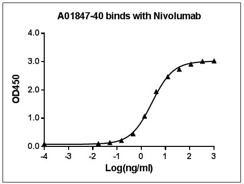 PDCD1 / CD279 / PD-1 Antibody - Anti-Nivolumab Antibody (8G6G3D8), mAb, Mouse binds with Nivolumab,while the antibody does not recognize human IgG Fc fragment (data not shown). Coating antigen: Nivolumab, 1 µg/ml. Anti-Nivolumab antibody dilution start from 1,000 ng/ml. EC50= 2.72 ng/ml.