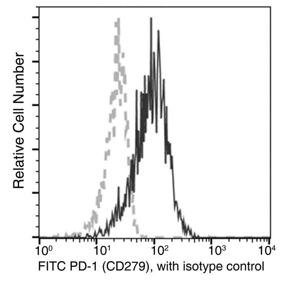 PDCD1 / CD279 / PD-1 Antibody - Flow cytometric analysis of Human PD-1 (CD279) expression on PHA-activated human whole blood Lymphocytes. Cells were stained with FITC-conjugated anti-Human PD-1 (CD279). The fluorescence histograms were derived from gated events with the forward and side light-scatter characteristics of viable Lymphocytes.