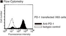 PDCD1 / CD279 / PD-1 Antibody