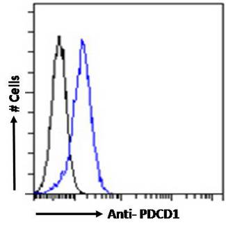 PDCD1 / CD279 / PD-1 Antibody - PDCD1 / CD279 / PD-1 antibody flow cytometric analysis of paraformaldehyde fixed Jurkat cells (blue line), permeabilized with 0.5% Triton. Primary incubation 1hr (10ug/ml) followed by Alexa Fluor 488 secondary antibody (1ug/ml). IgG control: Unimmunized goat IgG (black line) followed by Alexa Fluor 488 secondary antibody.
