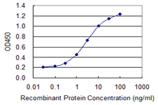 PDCL Antibody - Detection limit for recombinant GST tagged PDCL is 0.03 ng/ml as a capture antibody.