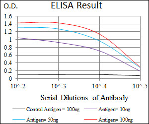 PDE1B Antibody - Red: Control Antigen (100ng); Purple: Antigen (10ng); Green: Antigen (50ng); Blue: Antigen (100ng);