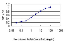 PDE2A Antibody - Detection limit for recombinant GST tagged PDE2A is approximately 0.03 ng/ml as a capture antibody.