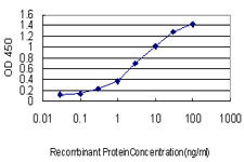PDE3A Antibody - Detection limit for recombinant GST tagged PDE3A is approximately 0.1 ng/ml as a capture antibody.