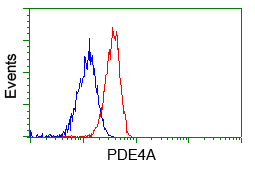PDE4A / PDE4 Antibody - Flow cytometry of Jurkat cells, using anti-PDE4A antibody, (Red), compared to a nonspecific negative control antibody, (Blue).