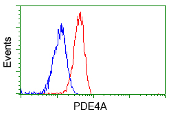 PDE4A / PDE4 Antibody - Flow cytometric Analysis of Jurkat cells, using anti-PDE4A antibody, (Red), compared to a nonspecific negative control antibody, (Blue).