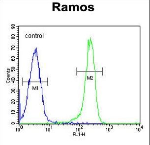 PDE4B Antibody - PDE4B Antibody flow cytometry of Ramos cells (right histogram) compared to a negative control cell (left histogram). FITC-conjugated goat-anti-rabbit secondary antibodies were used for the analysis.