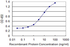 PDE4C Antibody - Detection limit for recombinant GST tagged PDE4C is 0.1 ng/ml as a capture antibody.