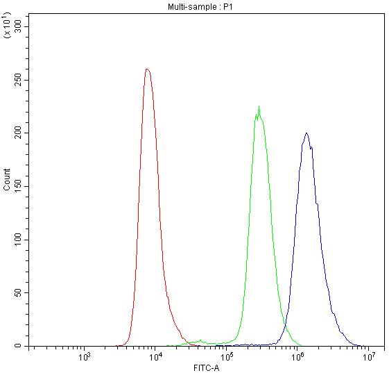 PDE4D Antibody - Flow Cytometry analysis of A549 cells using anti-PDE4D antibody. Overlay histogram showing A549 cells stained with anti-PDE4D antibody (Blue line). The cells were blocked with 10% normal goat serum. And then incubated with rabbit anti-PDE4D Antibody (1µg/10E6 cells) for 30 min at 20°C. DyLight®488 conjugated goat anti-rabbit IgG (5-10µg/10E6 cells) was used as secondary antibody for 30 minutes at 20°C. Isotype control antibody (Green line) was rabbit IgG (1µg/1x106) used under the same conditions. Unlabelled sample (Red line) was also used as a control.