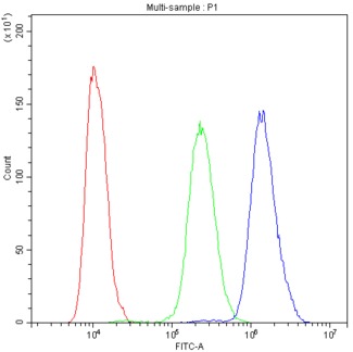 PDE4D Antibody - Flow Cytometry analysis of Hela cells using anti-PDE4D antibody. Overlay histogram showing Hela cells stained with anti-PDE4D antibody (Blue line). The cells were blocked with 10% normal goat serum. And then incubated with rabbit anti-PDE4D Antibody (1µg/10E6 cells) for 30 min at 20°C. DyLight®488 conjugated goat anti-rabbit IgG (5-10µg/10E6 cells) was used as secondary antibody for 30 minutes at 20°C. Isotype control antibody (Green line) was rabbit IgG (1µg/1x106) used under the same conditions. Unlabelled sample (Red line) was also used as a control.