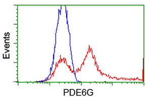 PDE6G / PDE6 Gamma Antibody - HEK293T cells transfected with either overexpress plasmid (Red) or empty vector control plasmid (Blue) were immunostained by anti-PDE6G antibody, and then analyzed by flow cytometry.