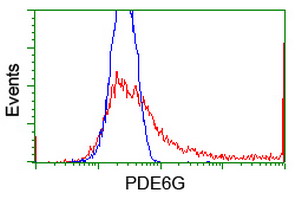 PDE6G / PDE6 Gamma Antibody - HEK293T cells transfected with either overexpress plasmid (Red) or empty vector control plasmid (Blue) were immunostained by anti-PDE6G antibody, and then analyzed by flow cytometry.