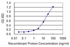 PDE8A Antibody - Detection limit for recombinant GST tagged PDE8A is 0.3 ng/ml as a capture antibody.