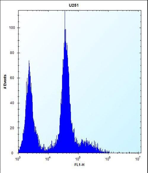 PDGFRA / PDGFR Alpha Antibody - PDGFRA Antibody (C-term E1063) flow cytometry of U251 cells (right histogram) compared to a negative control cell (left histogram). FITC-conjugated goat-anti-rabbit secondary antibodies were used for the analysis.