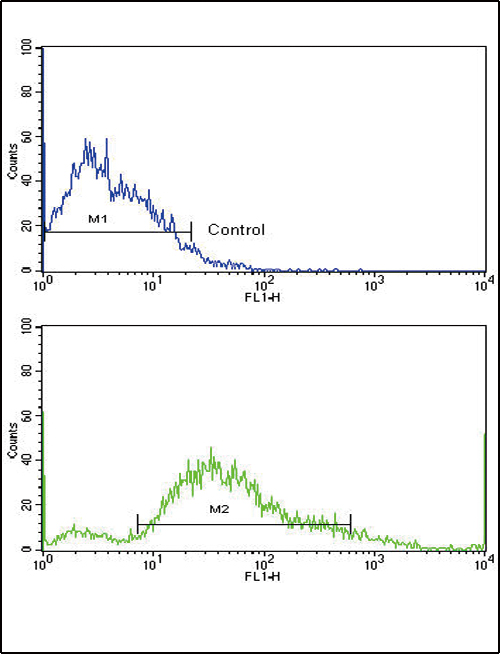PDGFRB / PDGFR Beta Antibody - Flow cytometric of SK-Br-3 cells using PDGFRB Antibody (bottom histogram) compared to a negative control cell (top histogram). FITC-conjugated goat-anti-rabbit secondary antibodies were used for the analysis.