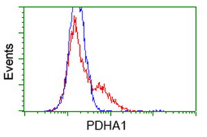 PDHA1 / PDH E1 Alpha Antibody - HEK293T cells transfected with either overexpress plasmid (Red) or empty vector control plasmid (Blue) were immunostained by anti-PDHA1 antibody, and then analyzed by flow cytometry.