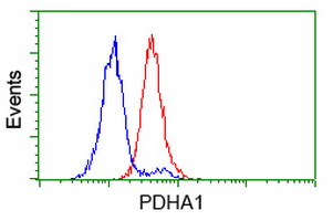 PDHA1 / PDH E1 Alpha Antibody - Flow cytometry of HeLa cells, using anti-PDHA1 antibody (Red), compared to a nonspecific negative control antibody (Blue).